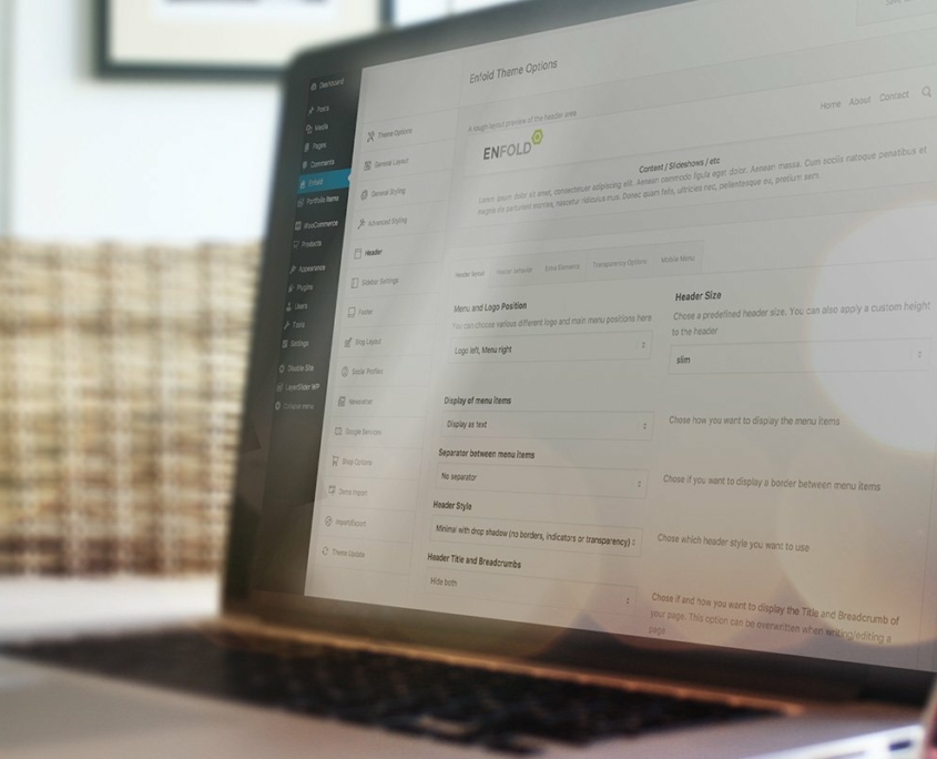 Powerful Theme Options